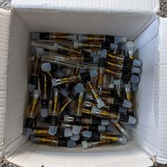 DMT Carts